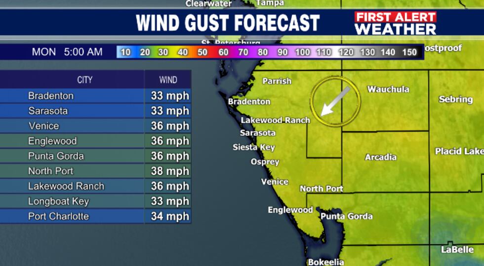 Eta wind gust forecast