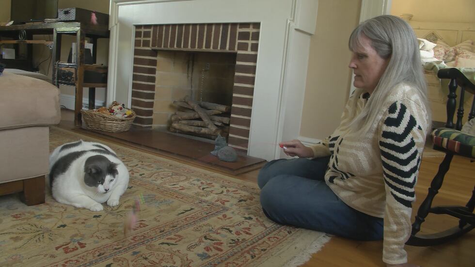 Patches the 40-pound cat and his new owner Kay Ford are on the weight loss journey together.