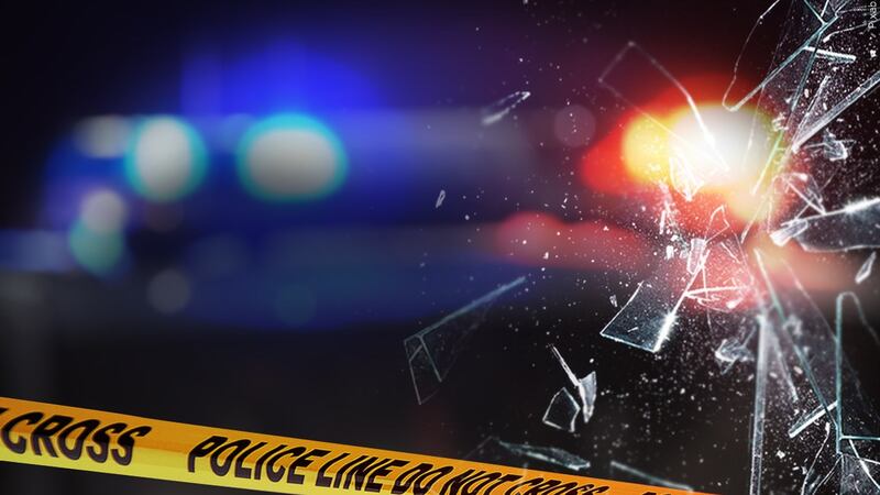 A driver was killed Monday morning when his car hit five cows that had wandered onto a highway...