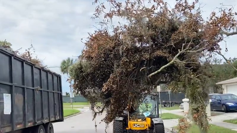 More right of way vegetative storm debris has been collected following Hurricane Ian than the...