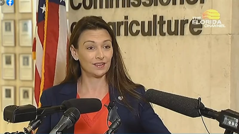 Agriculture Secretary Nikki Fried at a news conference May 6.