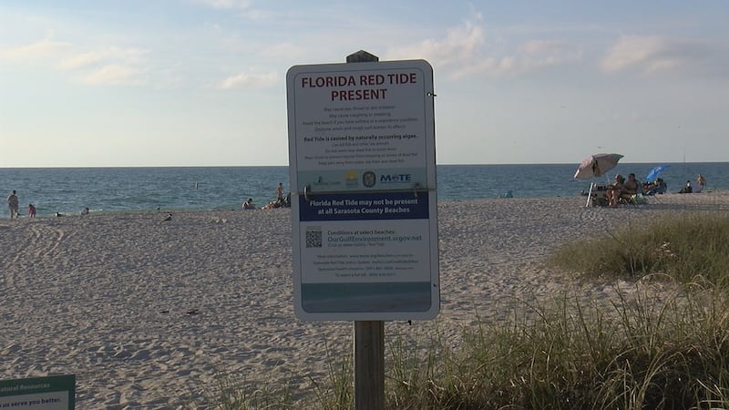 Beachgoers in Sarasota and Manatee counties are breathing easier as red tide seems to be...
