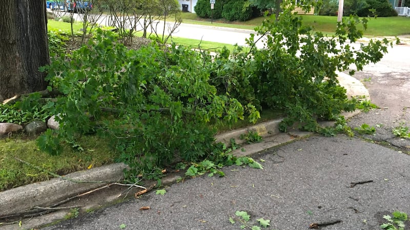 storm debris