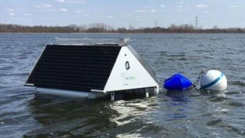 The buoys are designed to kill single cell algae, thus removing the need for chemical algae...