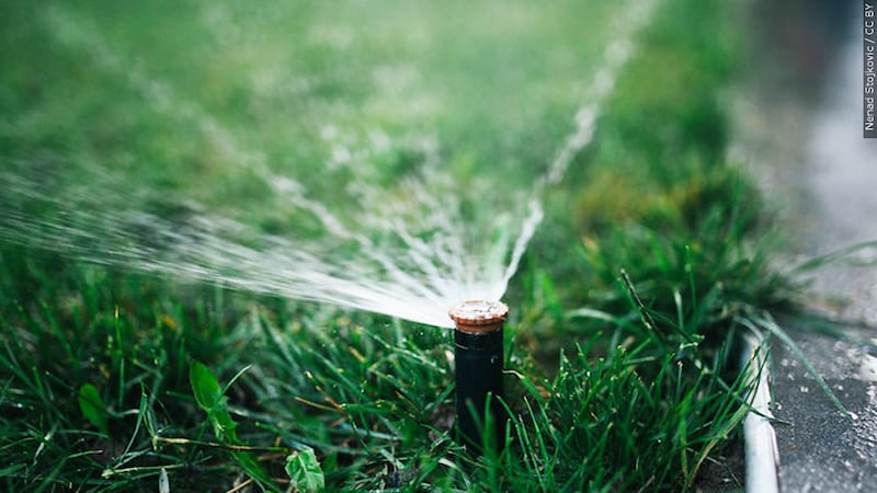 Underground water sprinkler.