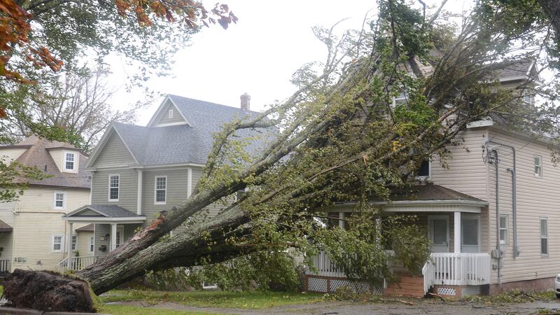 A fallen tree leans against a house in Sydney, N.S., as post-Tropical Storm Fiona continues to...