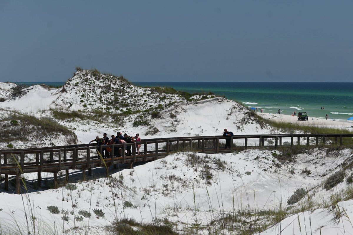 Woman, teenager injured in back-to-back shark attacks on Florida's Gulf Coast - Vimarsana News