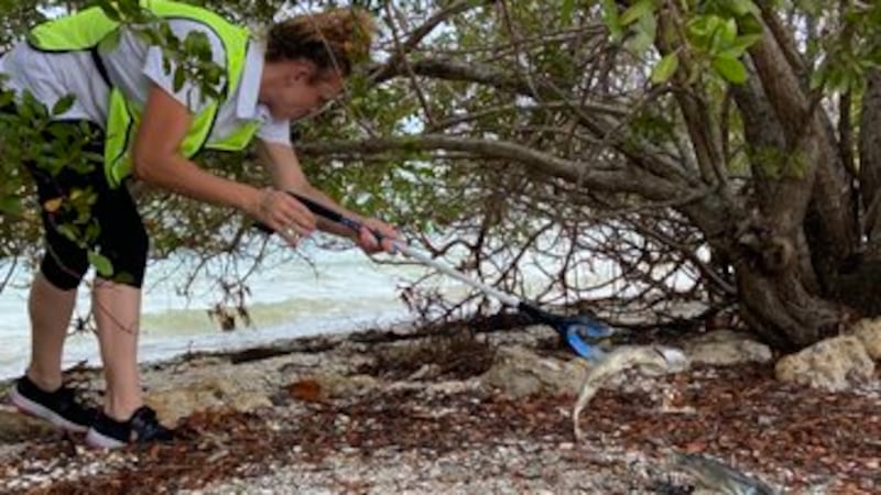 Crews are working to clear marine debris