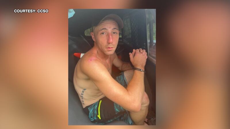 Citrus and Marion County deputies worked together to track down grand theft auto suspect.