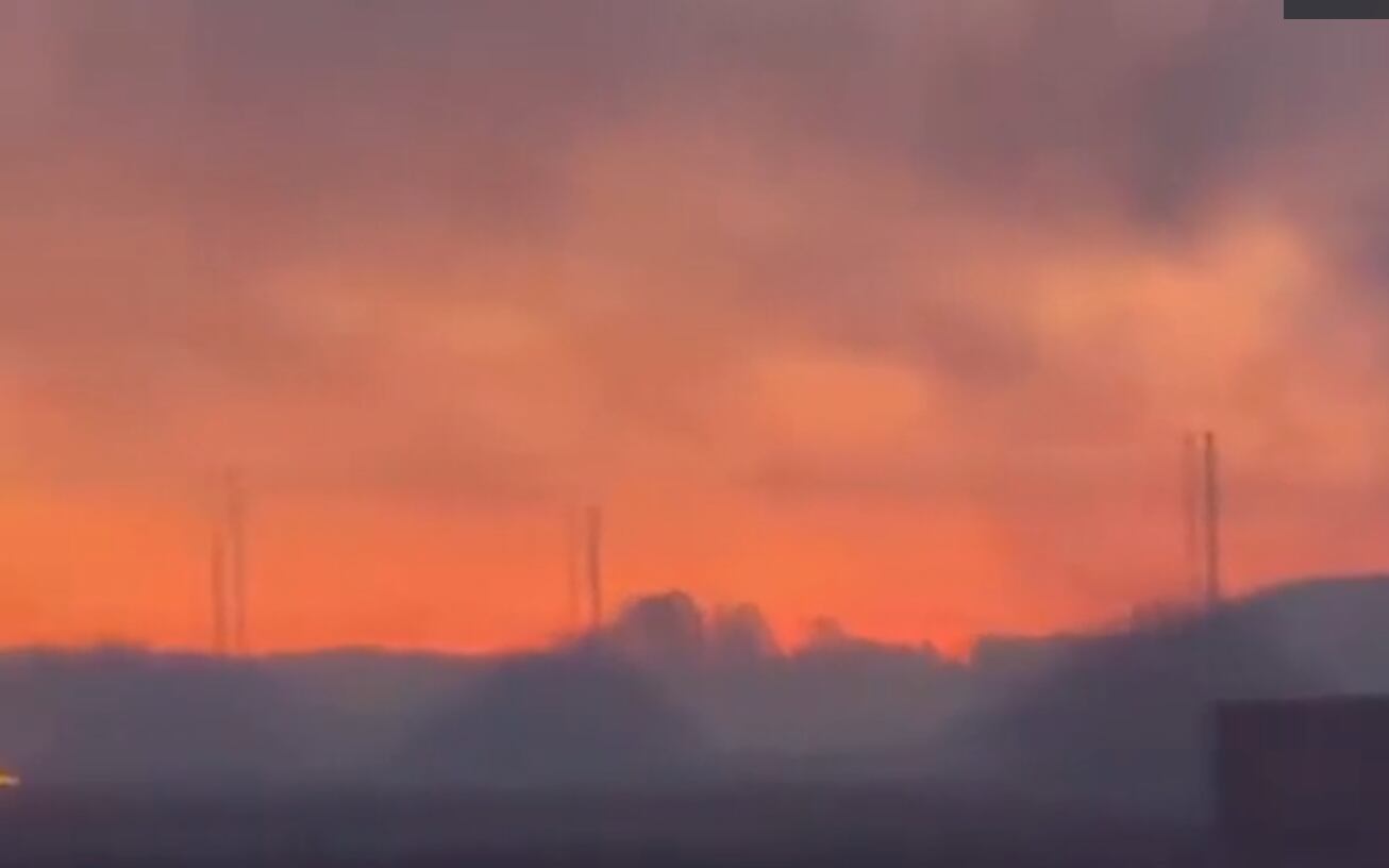 Brush fire burns 1,400 acres in Hardee County - Vimarsana News
