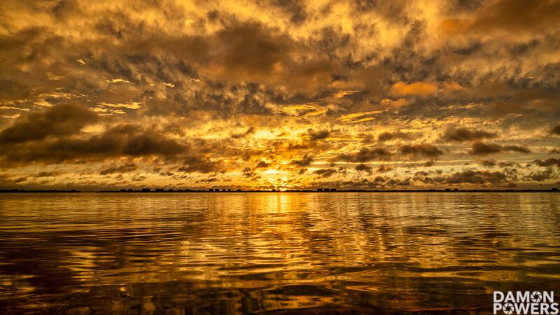 Spectacular sunset Wednesday near Jungle Gardens in Sarasota. This one taken by Damon Powers....