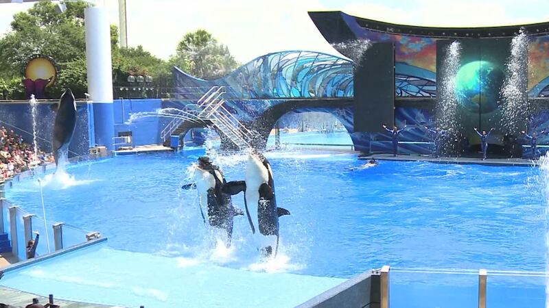 SeaWorld is set to open its Orlando theme parks on Thursday.